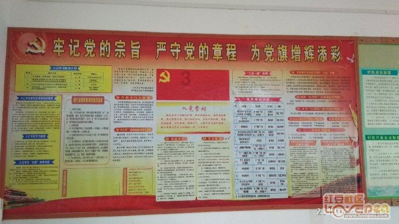幻兽帕鲁海外党可以和国内联机吗 海外党联机方法分享